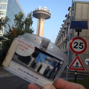 piet-vivacite-wordpress